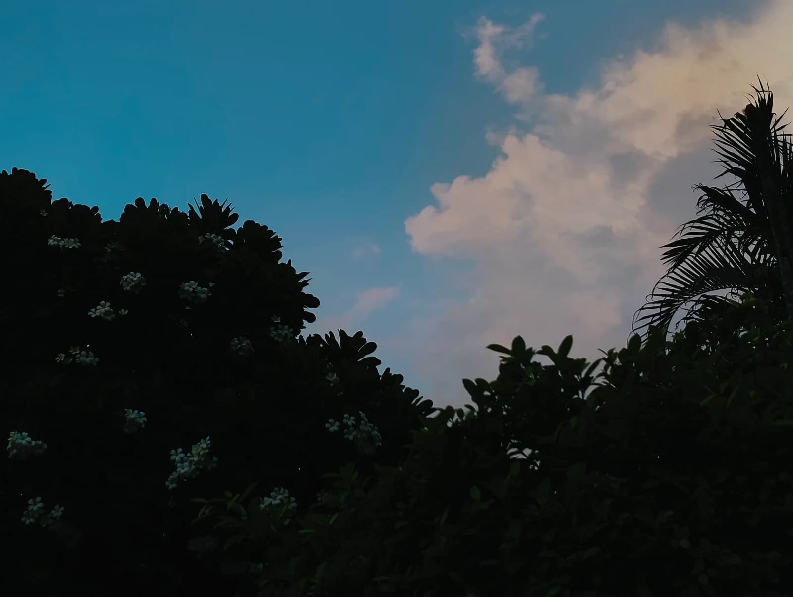 Dusk